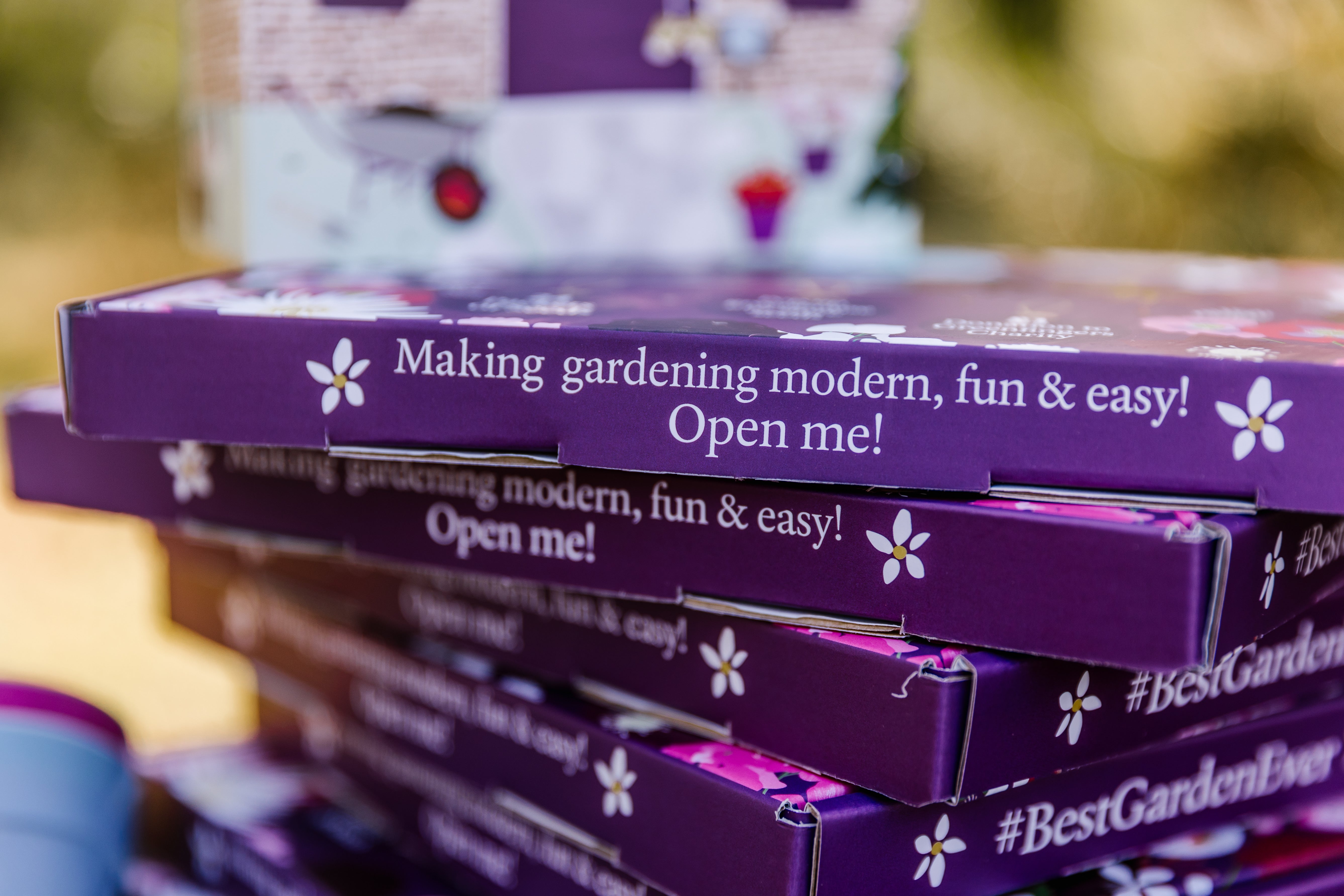 the-advent-calendar-2022-round-up-the-rose-press-garden