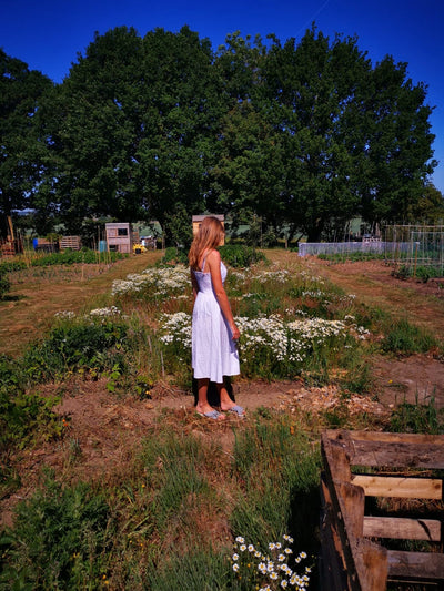 Meet the Gardener: Deanna @mylittlegardeninessex