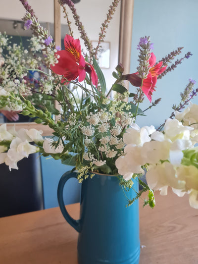 Sophie's 2022 Gardening Year!