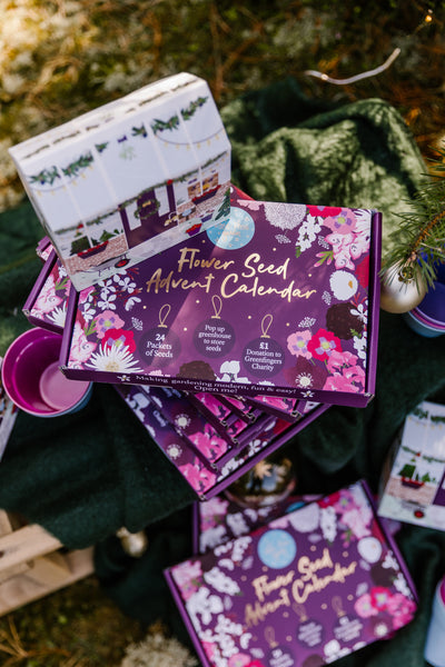 Lizzie's Favourite Christmas Picks!