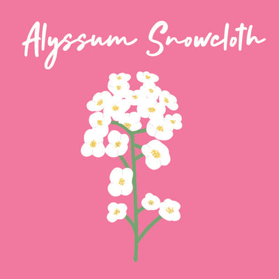 Day 23 of Advent Calendar: Alyssum Snowcloth