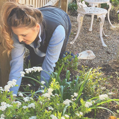 Annuals vs Perennials