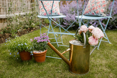 How to keep summer containers fresh & flowering