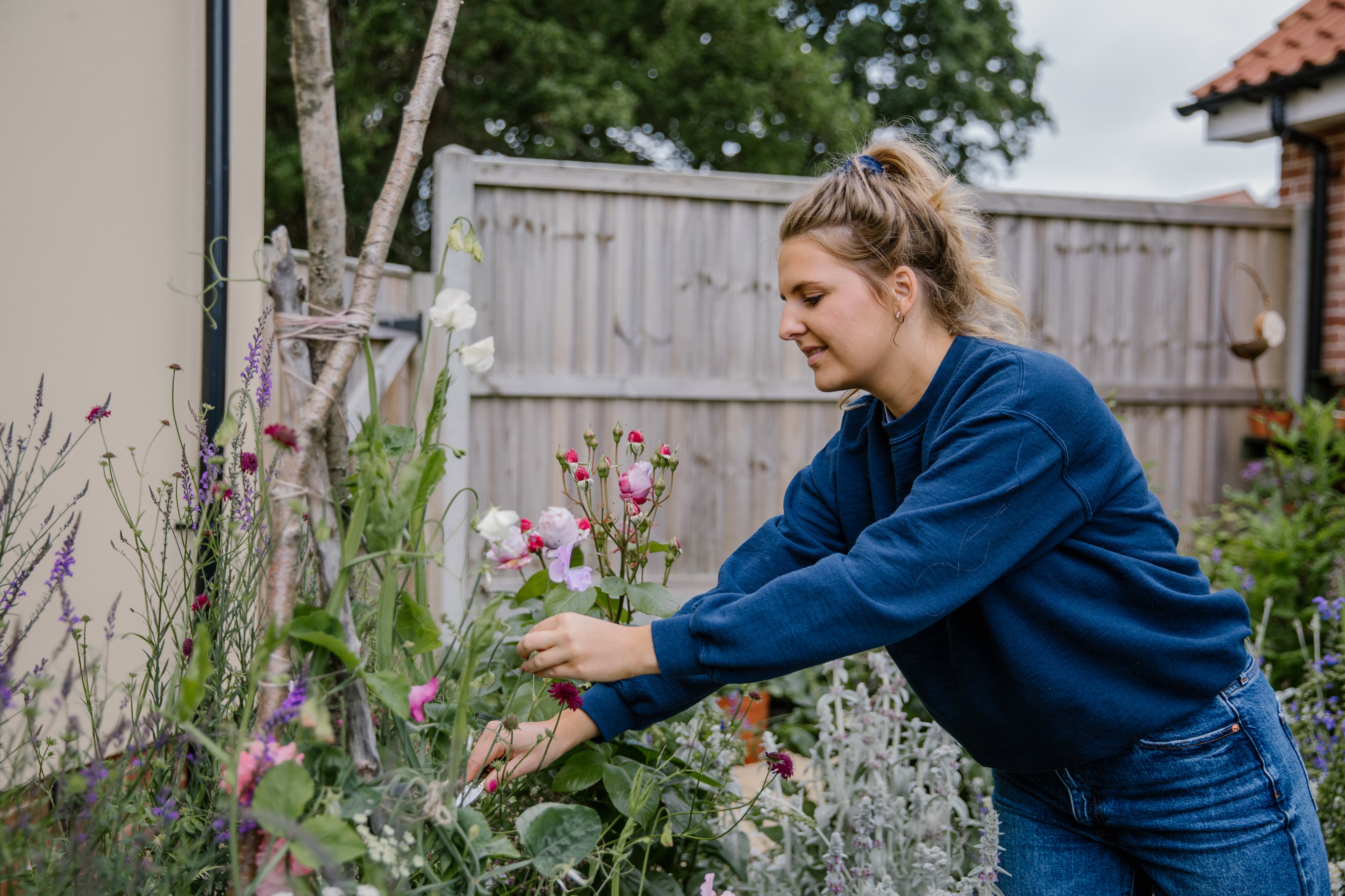 what to do with sweet peas when finished flowering