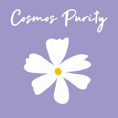 Day 16 of Advent Calendar: Cosmos Purity