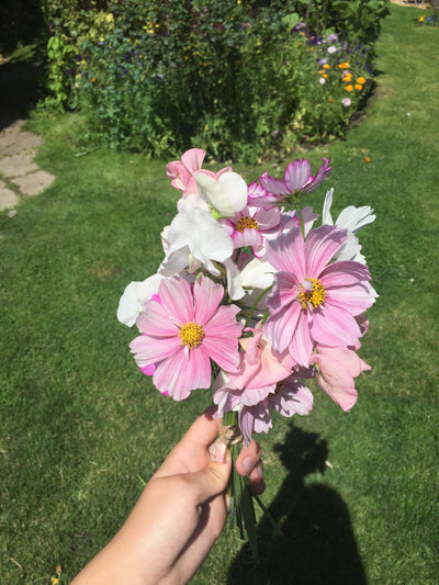 Why gardening can have a positive impact on mental health