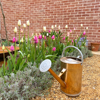 April Garden Tour