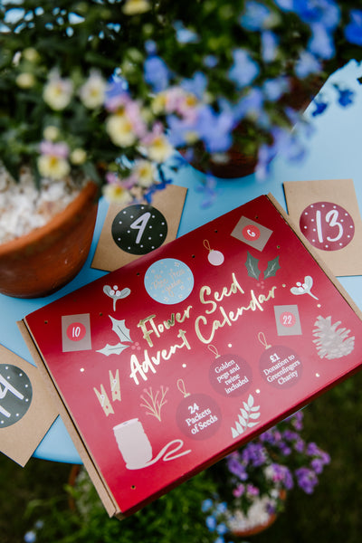 The Rose Press Garden 'Flower Seed Advent Calendar': Here's what you need to know!