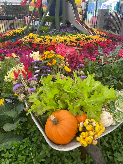 Gardening Jobs for October