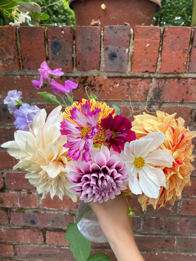 'Jobs in the garden this August' by Becky