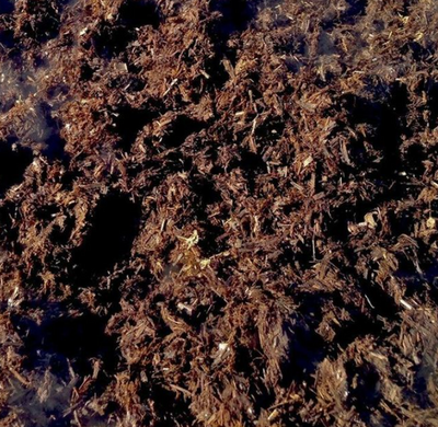 How to Mulch your borders