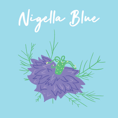 Day 17 of Advent Calendar: Nigella Blue