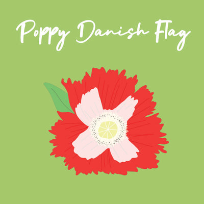 Day 18 of Advent Calendar: Poppy Danish Flag
