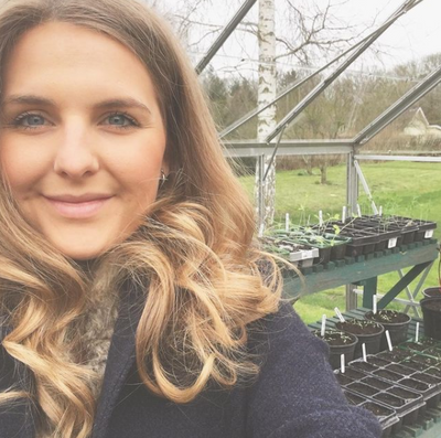 How to look after Seedlings