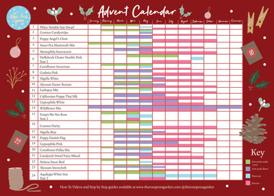 Advent Calendar Chart