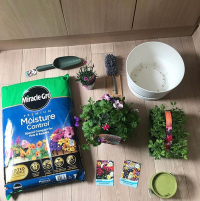 Meet the Gardener: Kelly @novice_gardener