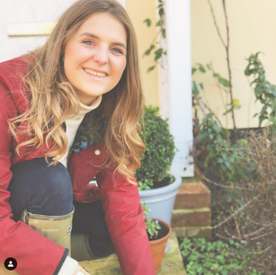 Gardening jobs for December