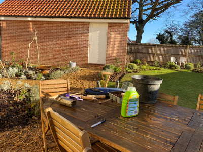 What to buy if you are new to gardening!