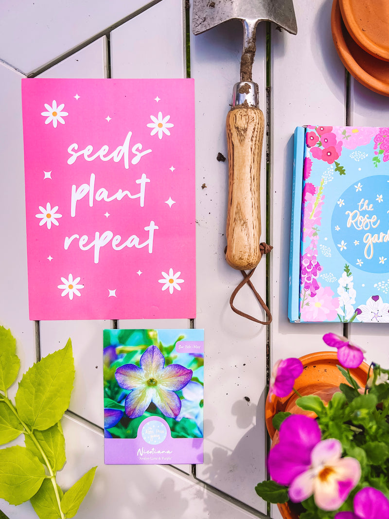 GARDEN DESIGN HOUR: Saturday 30th September