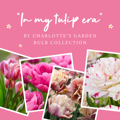 The 'In My Tulip Era' Collection (75 bulbs!)
