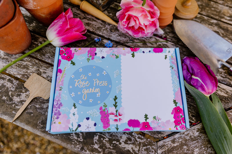 *LIMITED EDITION* Wildflower Pack (4 x Packets of Seeds)