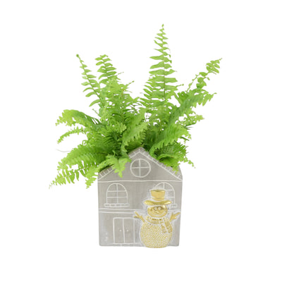 Boston Fern in Snowman Pot | Air-Purifying Houseplant Gift The Rose Press Garden