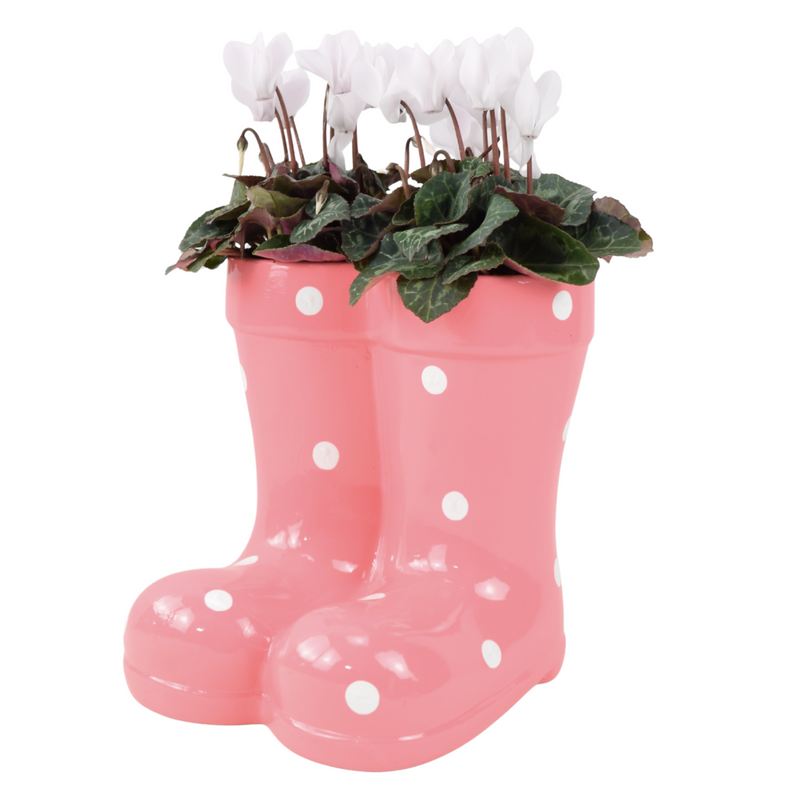 Pink Polka Dot Wellies Planter with Cyclamen- Ceramic Garden Decor The Rose Press Garden