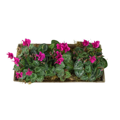 Cyclamen Premium Metal Trough Planter – Elegant Purple & White Blooms The Rose Press Garden