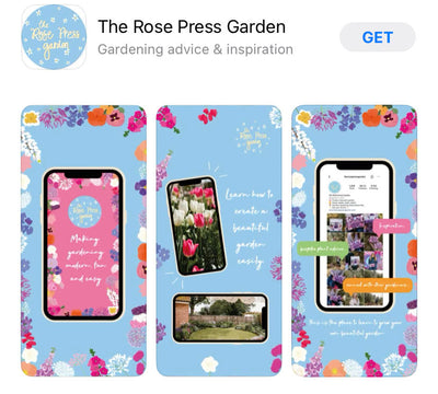 Download for FREE