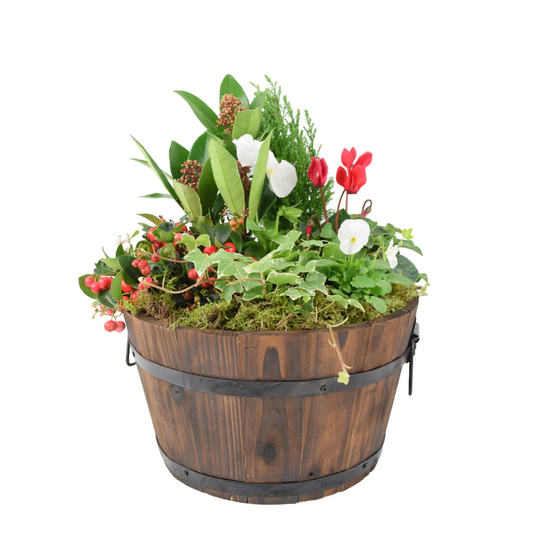 Festive Wooden Barrel Planter 30cm – Seasonal Outdoor Planter with Mixed Plants The Rose Press Garden