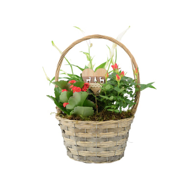Christmas Planted Basket - Rose, Peace Lily & Kalanchoe Gift UK The Rose Press Garden