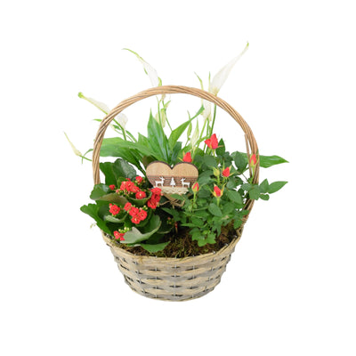 Christmas Planted Basket - Rose, Peace Lily & Kalanchoe Gift UK The Rose Press Garden