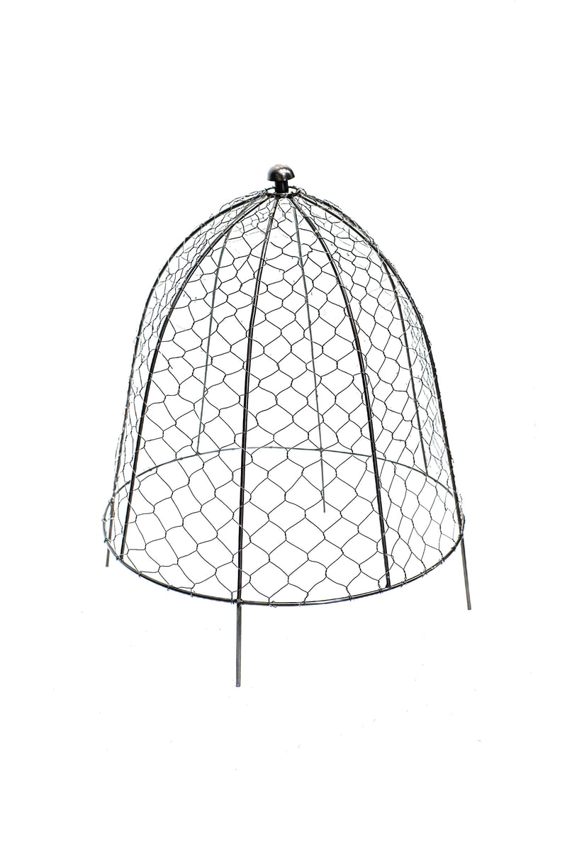 Outdoor Wire Netted Plant Protector - Zinc