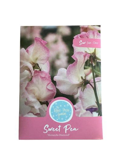 Sweet Pea 'Monarch's Diamond' Seeds The Rose Press Garden