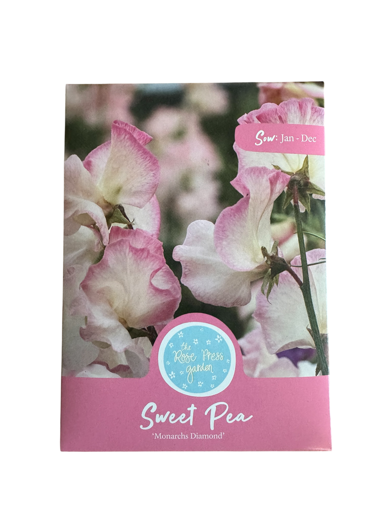 Sweet Pea &