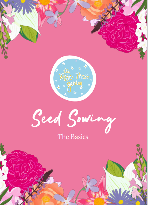 E-Book - Seed Sowing