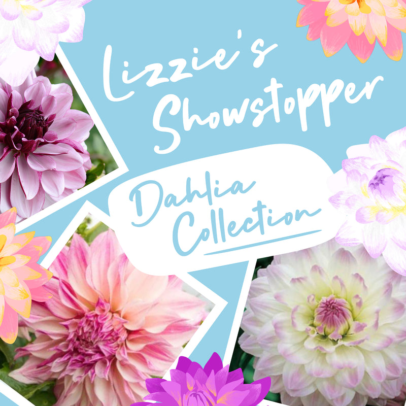 Lizzie&