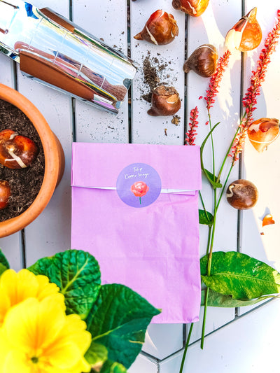 ''Monthly Gardening Subscription Box''