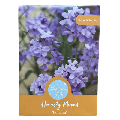 Honesty Mixed 'Lunaria' Seeds The Rose Press Garden