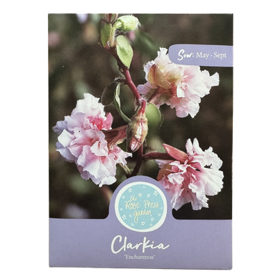 Clarkia 'Enchantress' Seeds The Rose Press Garden