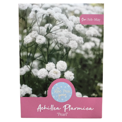 Achillea 'The Pearl' Seeds The Rose Press Garden