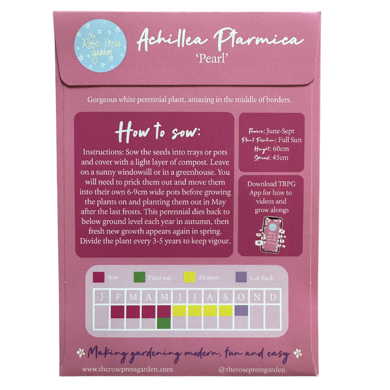 Achillea &