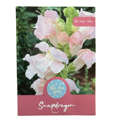Snapdragon 'Rose' Seeds The Rose Press Garden