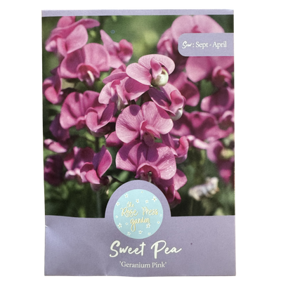 Sweet Pea 'Geranium Pink' Seeds The Rose Press Garden