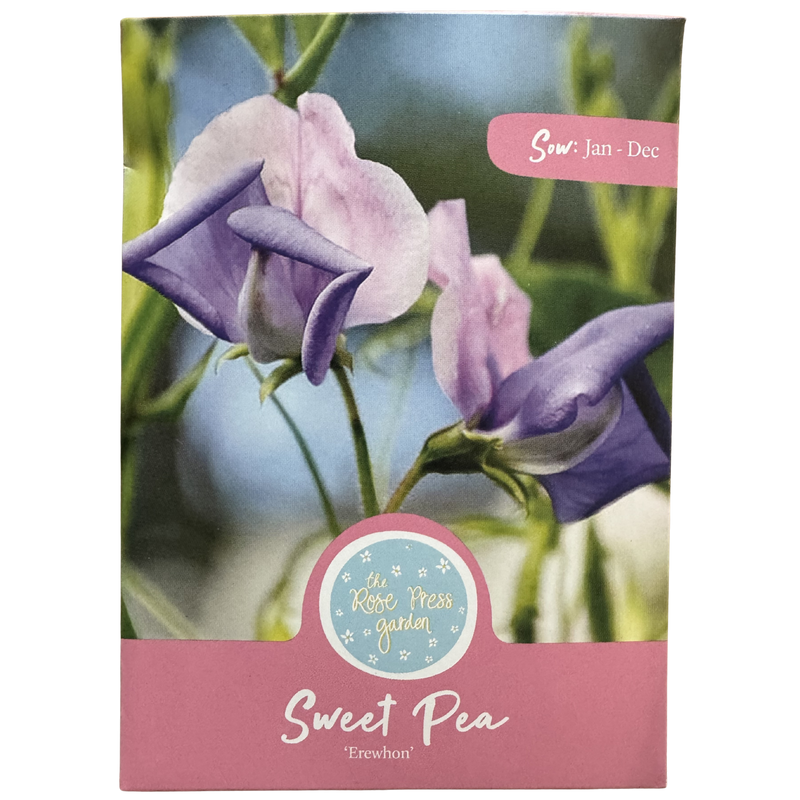 Sweet Pea &