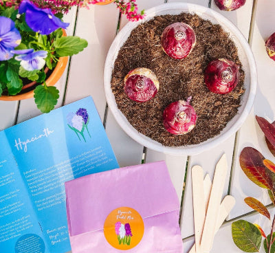 monthly flower seed subscription Our Monthly Gardening Subscription Box