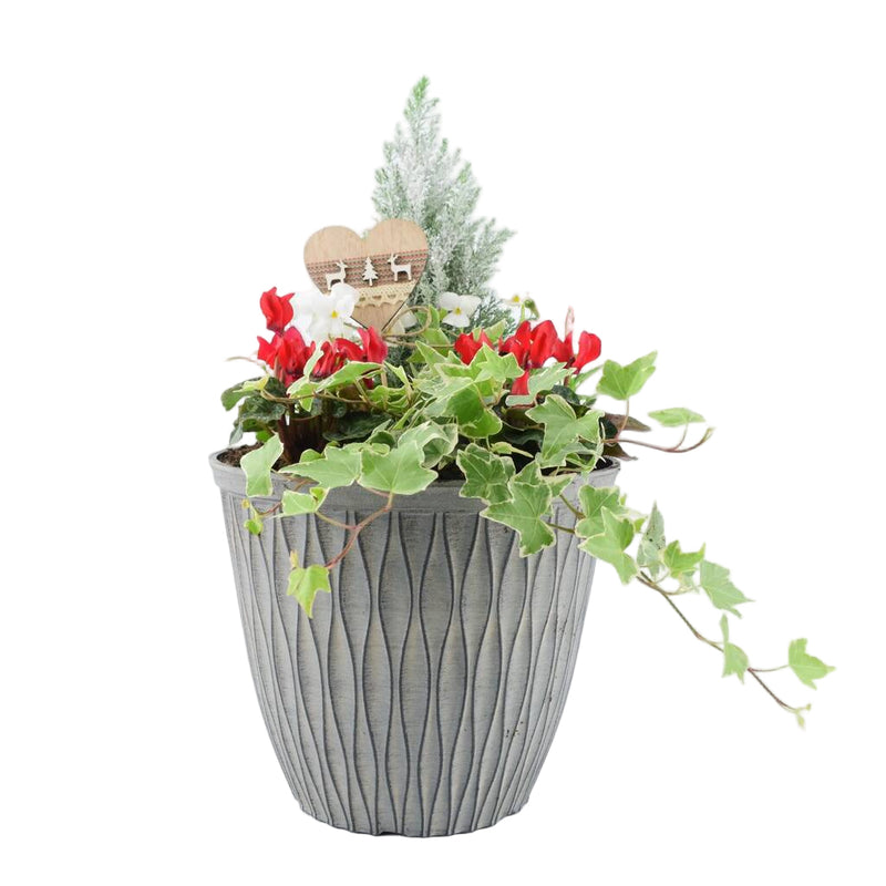 Festive Outdoor Planter 26cm Winter Garden Arrangement The Rose Press Garden