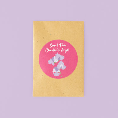 Sweet Pea Charlie's Angel (old packaging)